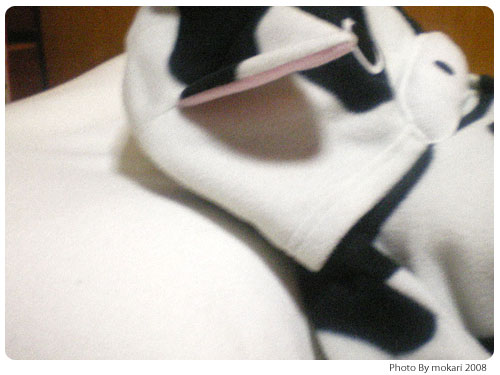 20081111-4　わたしのマイ枕「王様の夢枕」の感想（２）