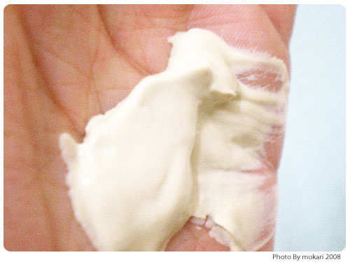 20080917-10　エバメール化粧品の「ホワイトニング洗顔クリーム 」をつかった感想。